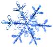 Snowflake